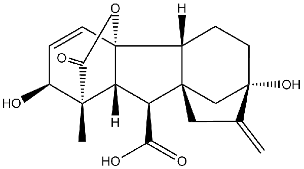 赤霉素GIBBERELLIC ACID，居然有這么神奇？